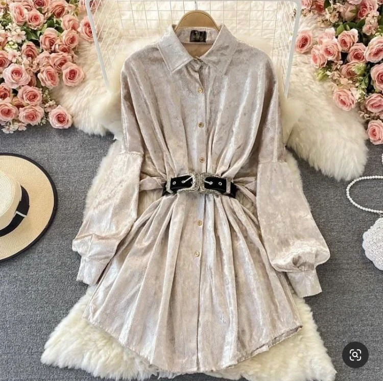 Mettalic Shirt Dress - Image 6